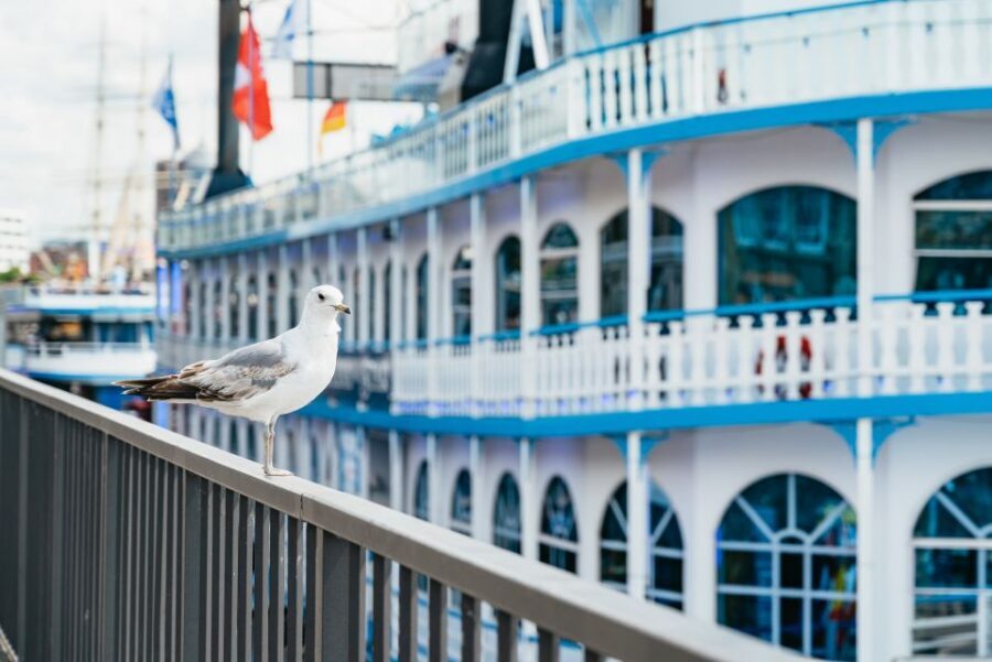 Hamburg: 1-Hour Harbor Sightseeing Cruise with HafenCity - From St. Pauli to the Elbe: The View That Changes Every Minute