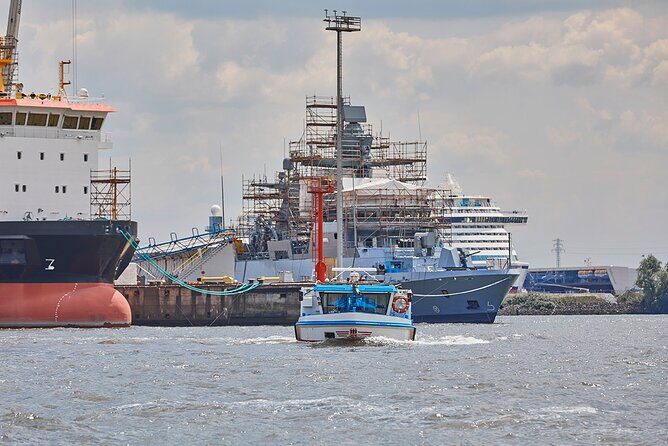 Hamburg: 1-hour harbor tour - Altona Fish Market and the Elbe beach pause: a softer harbor moment