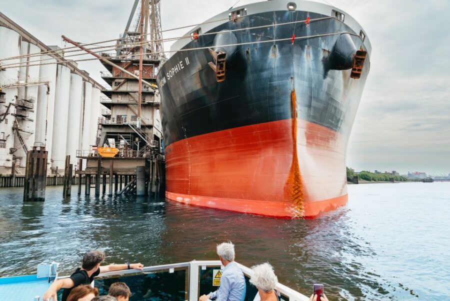Hamburg: 2-Hour XXL Port of Hamburg Cruise Tour - Language Rules: The Live German Guide and the Audio App Work Together
