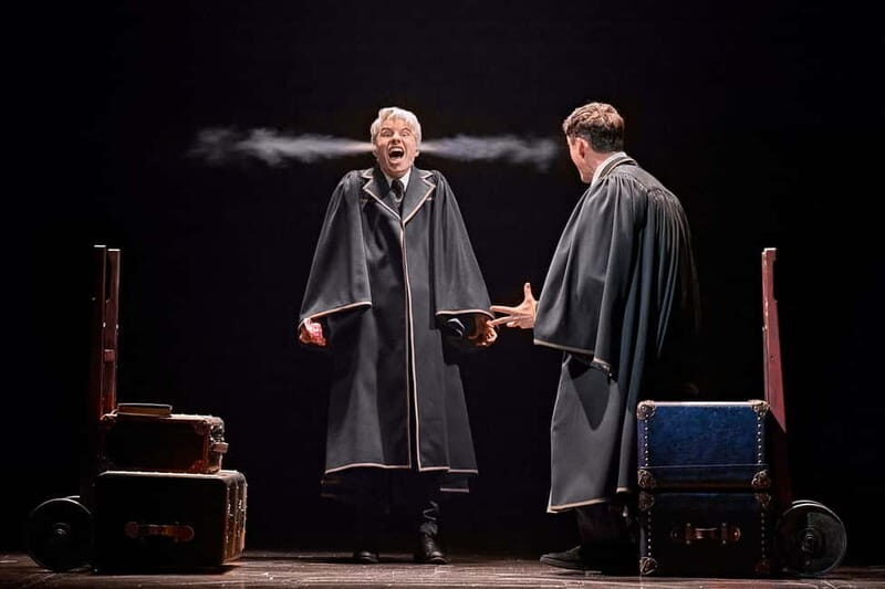 Hamburg: Harry Potter and the Cursed Child Theater - Language reality: German performance and what it means for you